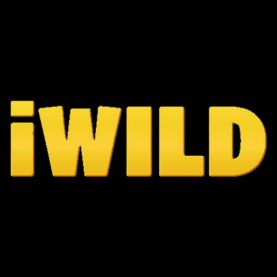 iWild kasyno online panel gracza